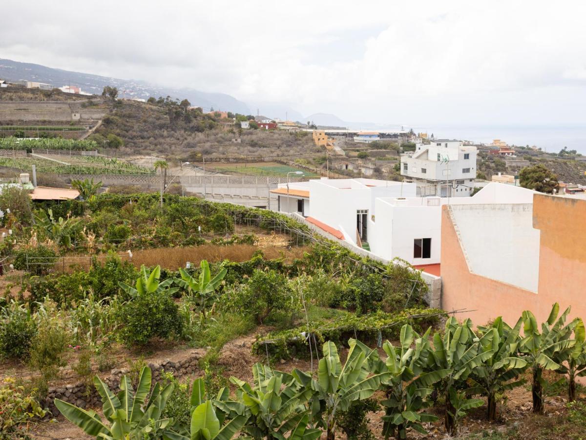 Live Icod Buen Paso Leilighet Icod De Los Vinos Eksteriør bilde